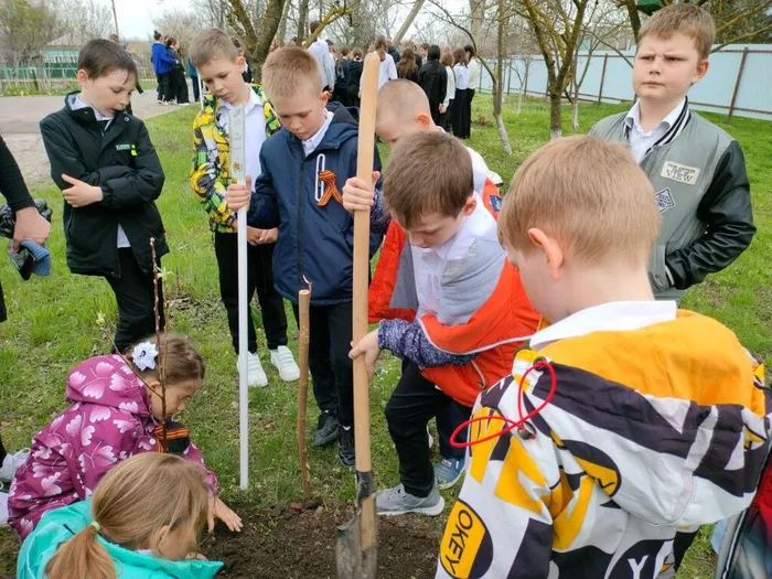 Сад памяти 1