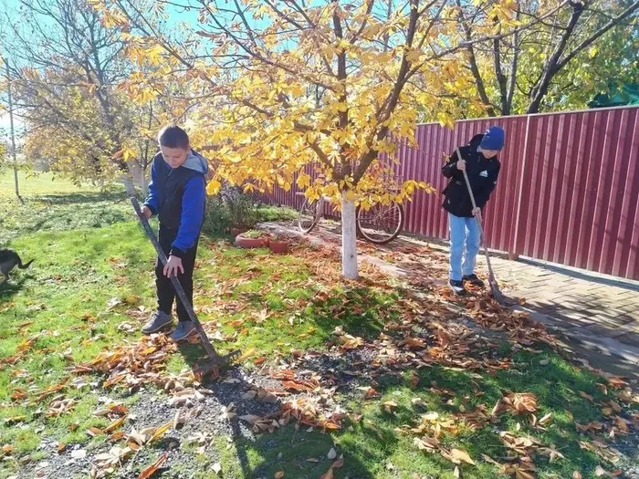 добрые сердца