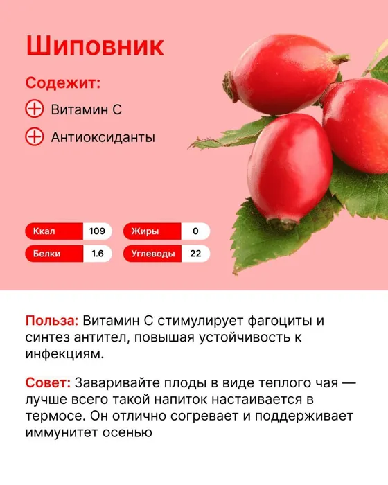 IMG_20250913_082925_853