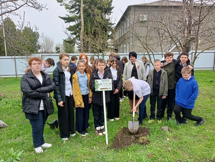 Сад памяти 7